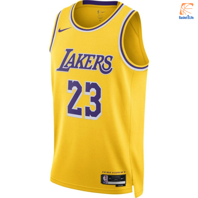 NBA-Trikot Lebron James Los Angeles Lakers Icon Edition 23-2024