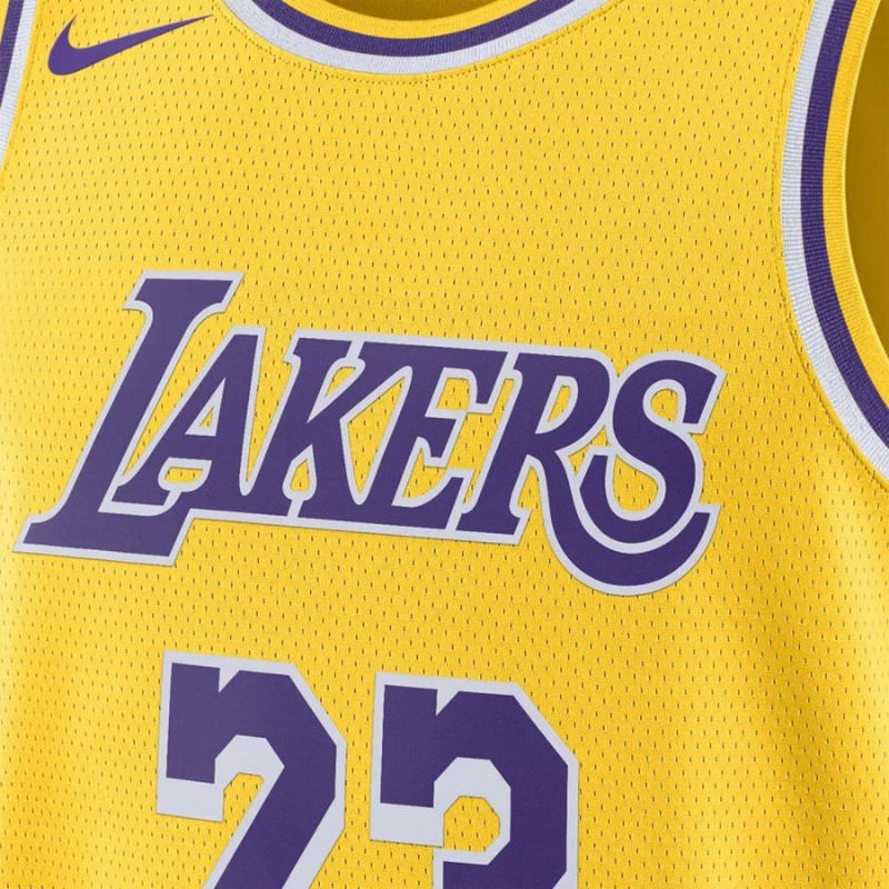 NBA-Trikot Lebron James Los Angeles Lakers Icon Edition 23-2024